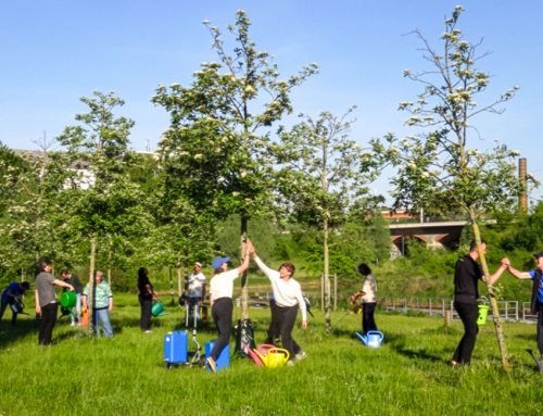 Workshop für Gießprojekte – Wie gewinnen wir mehr Menschen fürs Gießen?